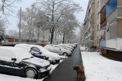 graz-06