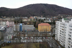 graz-19